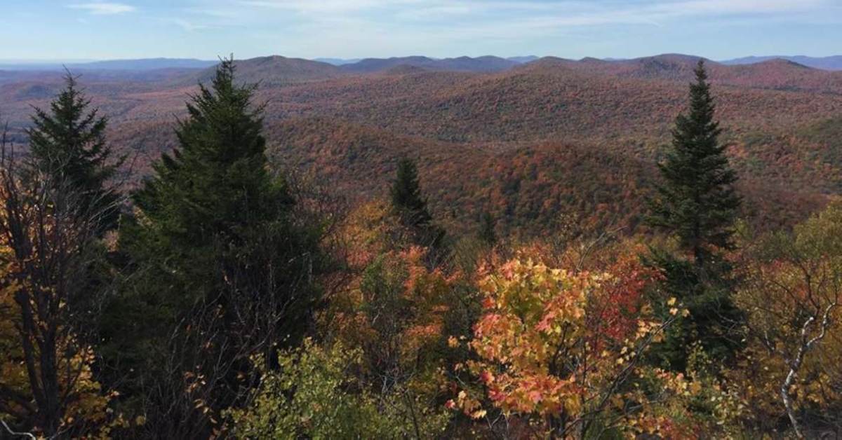 fall colors across mountains