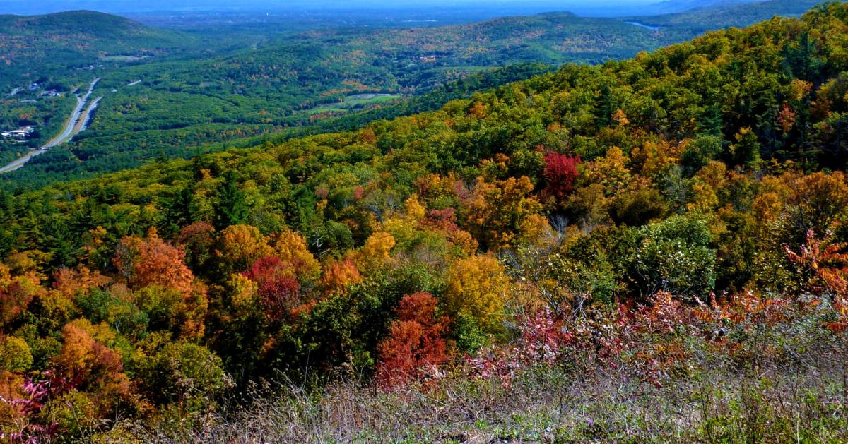 fall foliage view from summit