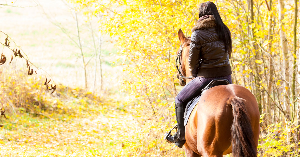 back of young woman horseback riding surrounded by yellow fall foliage