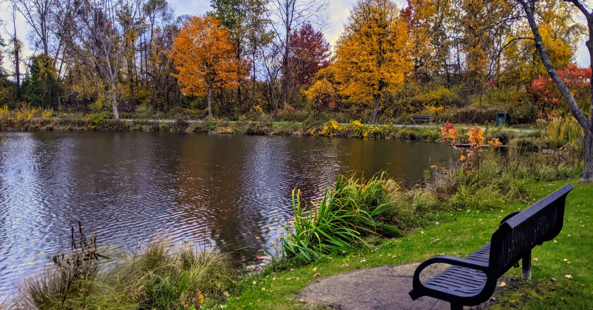 park bench and pond in the fall