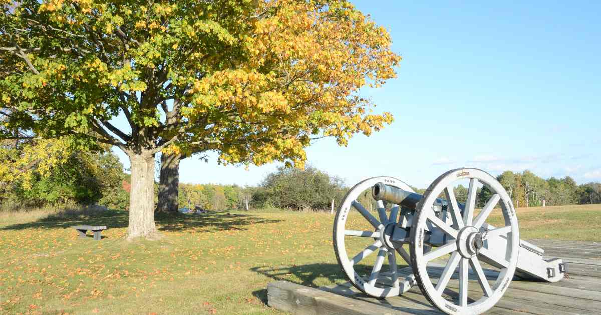 cannon near trees with fall colors