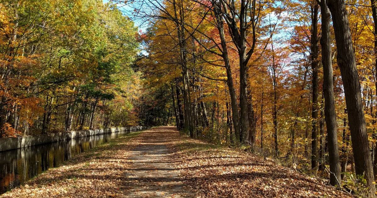 path in woods by canal in fall