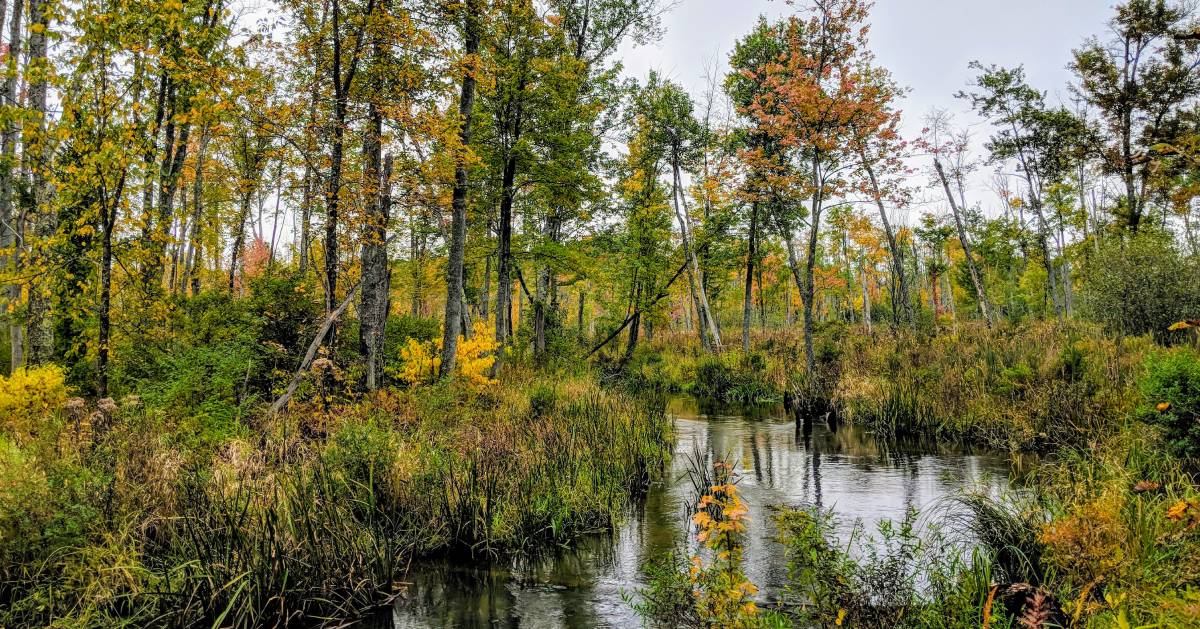 preserve in the fall