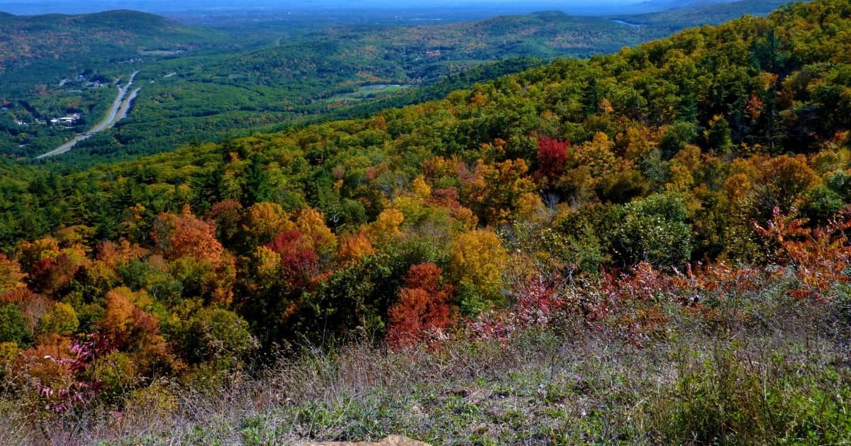 mountain view and fall colors