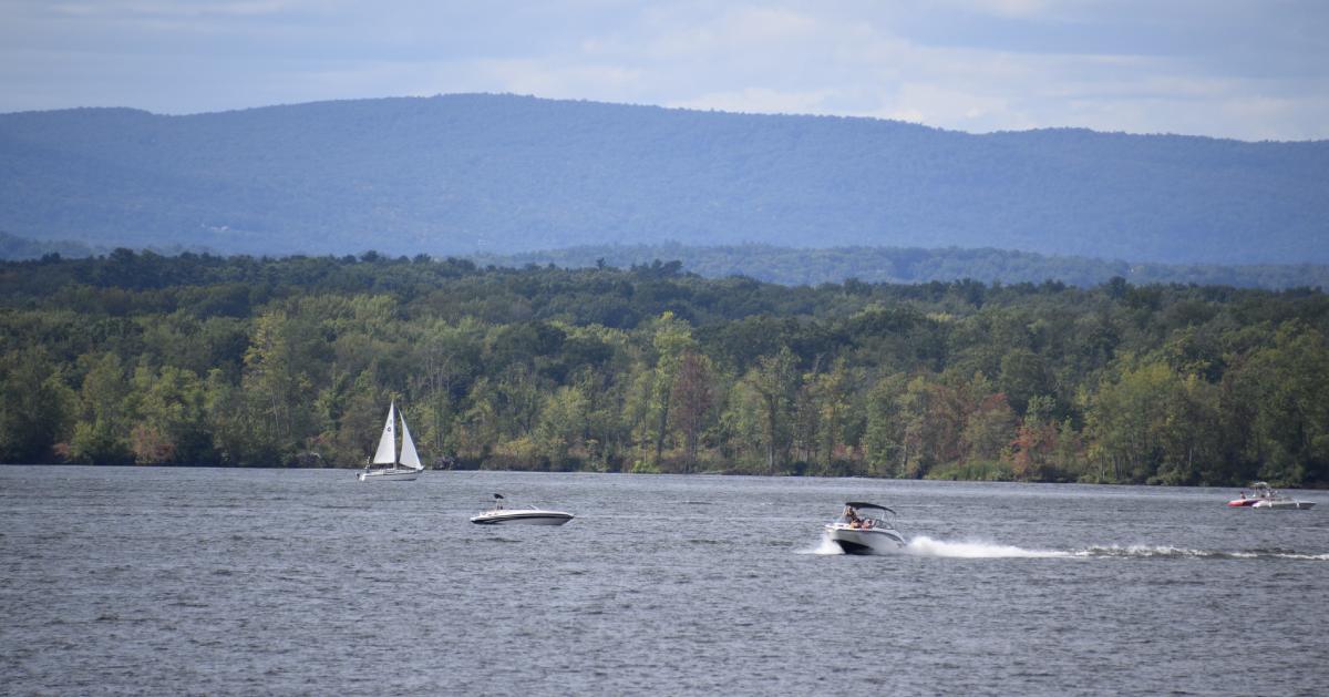 boats on a lake with trees along the shoreline