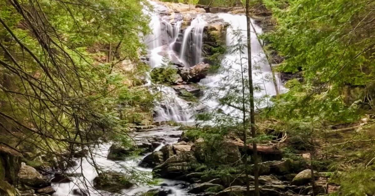 waterfall in woods