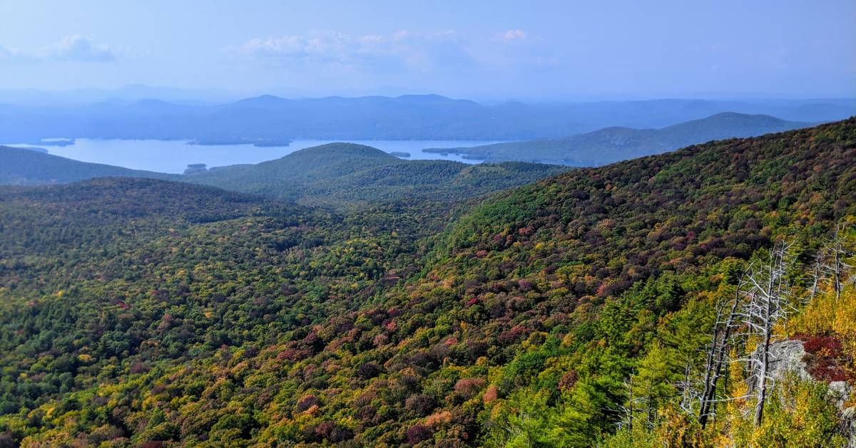 fall foliage view from mountain summit