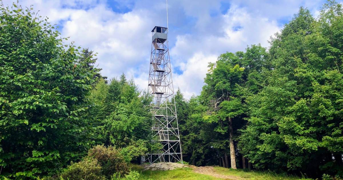 Adirondack Hiking  Mount Adams – Pure Adirondacks