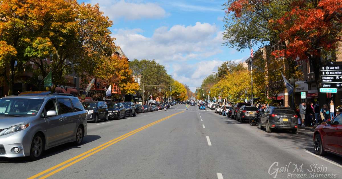 view looking down road with trees and cars along the side