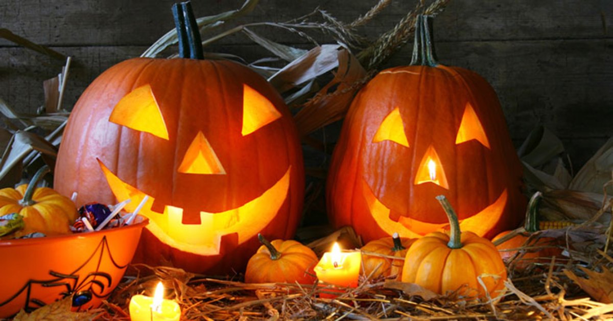 2024 Guide to the Halloween Season in the Albany Area