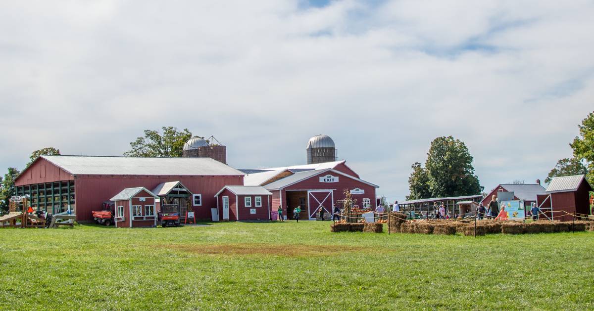 red farm buildings