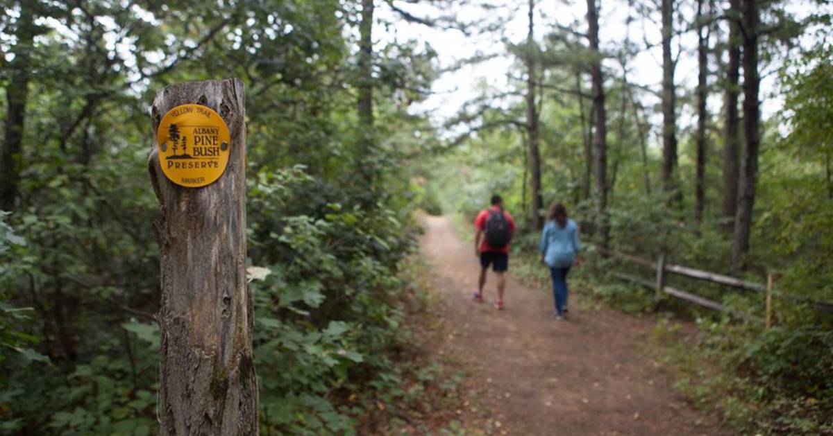 people walking along a nature trail