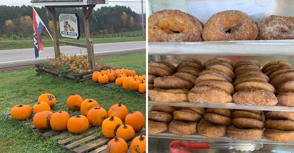 left image of pumpkins near a sign, right image of cider donuts