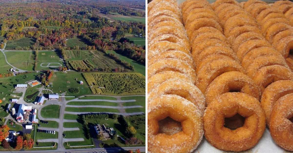 left image of an aerial view of a farm, right image of cider donuts