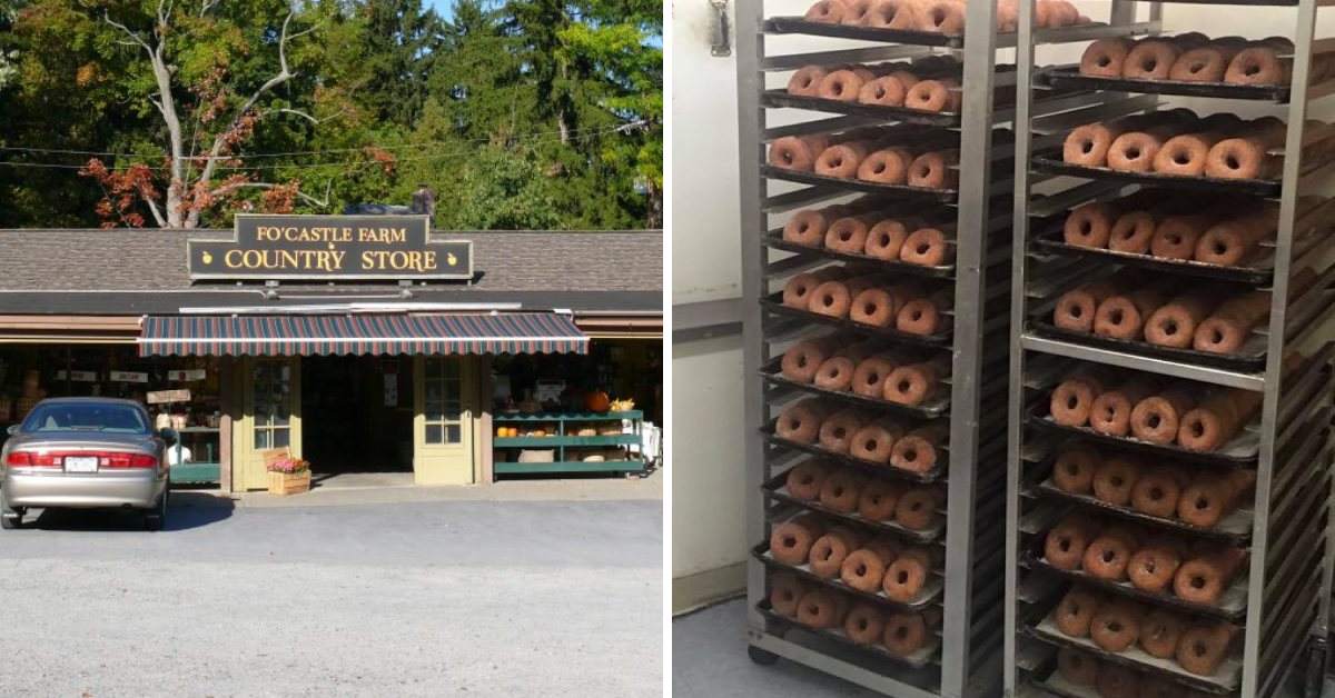 left image of country store, right image of cider donuts in racks