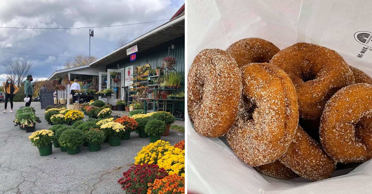 left image of a garden center, right image of cider donuts