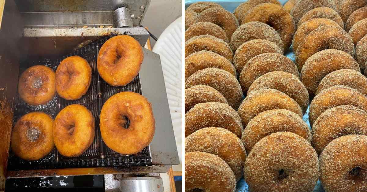 left image of donuts going into a fryer, right image of sugary cider donuts
