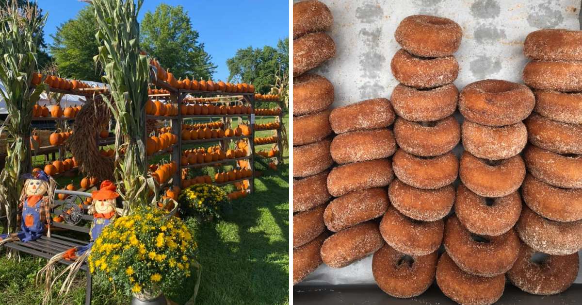 left image of pumpkin display, right image of cider donuts