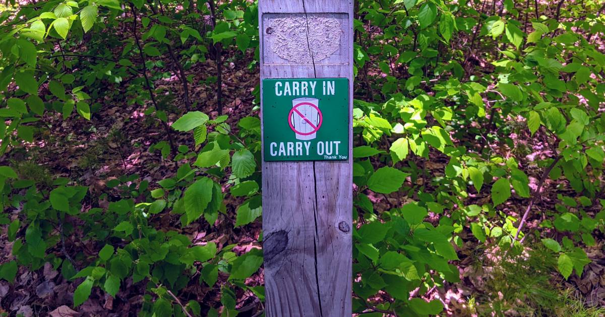 carry in carry out sign