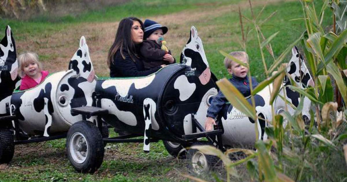 kids and woman riding on farm themed train