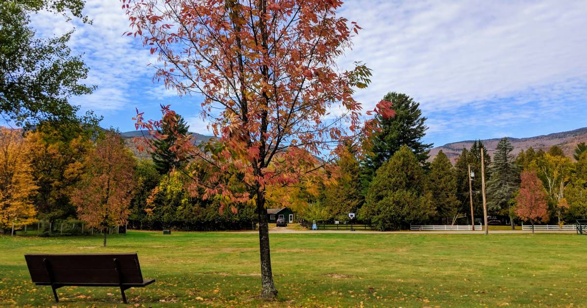 bench in the fall