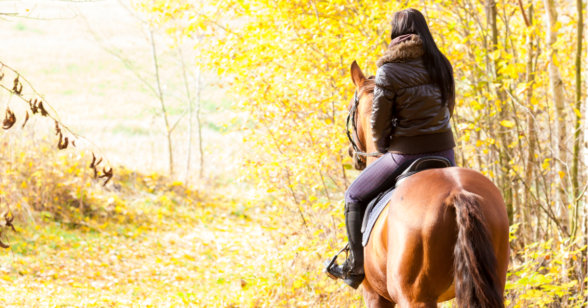two people horseback in the woods