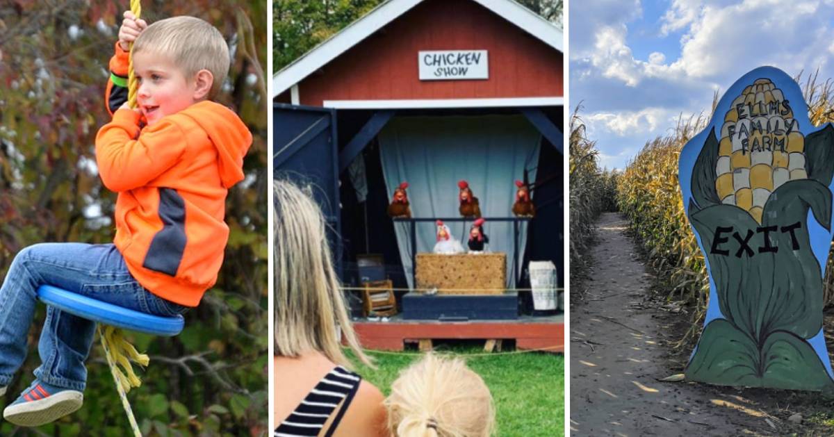 It's Fall Fun for Everyone at Ellms Family Farm in Ballston Spa!