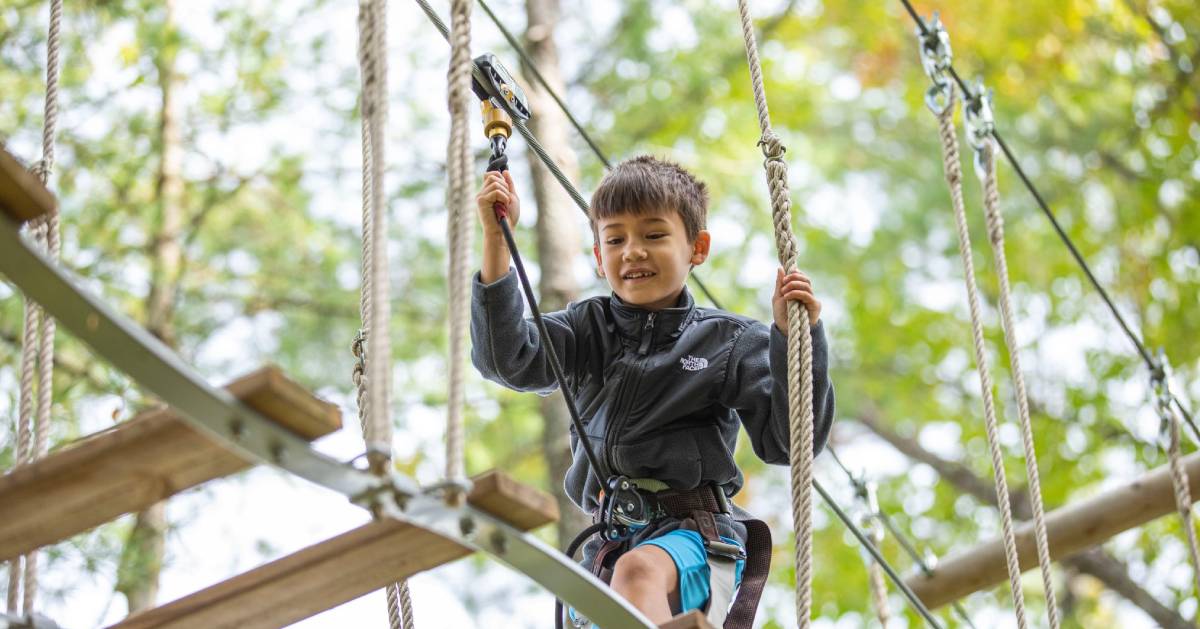 kid on treetop course