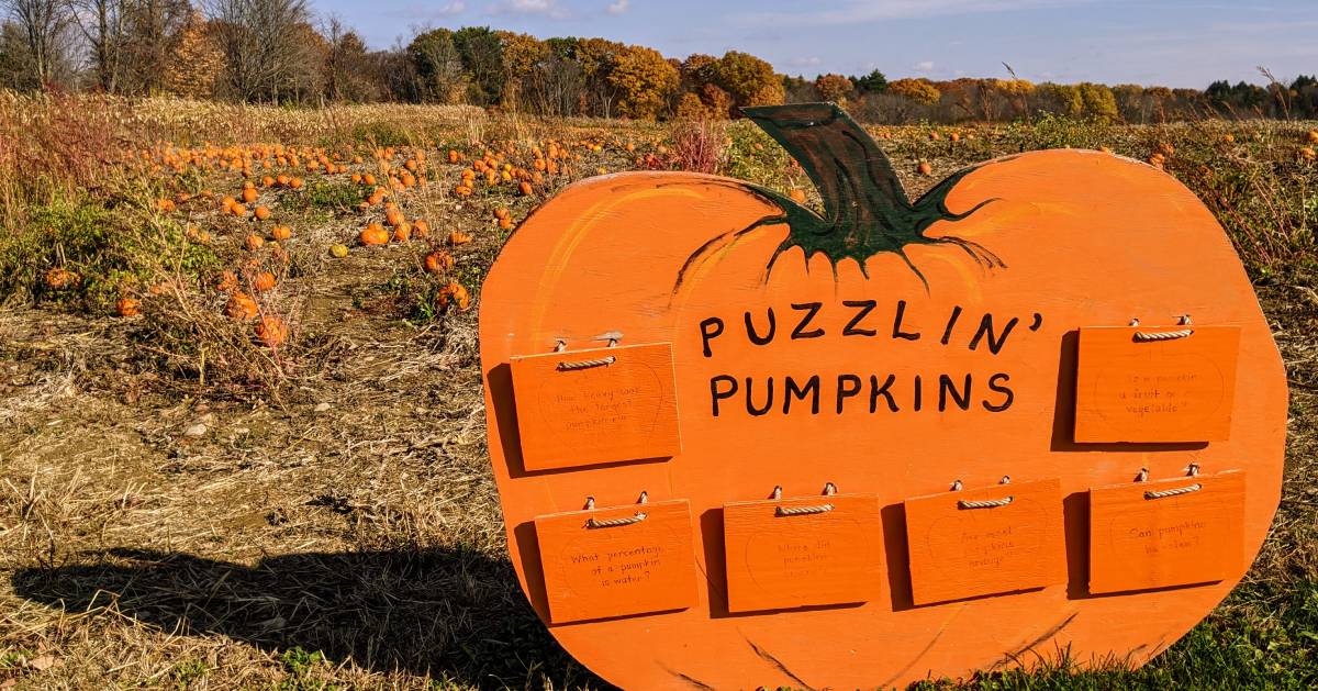 Puzzlin' Pumpkins in front of pumpkin patch