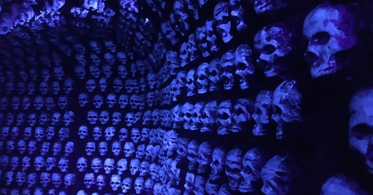 spooky skulls on a wall