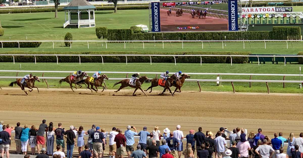 trackside crowd watching horses race