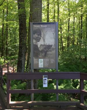 historic sign in woods