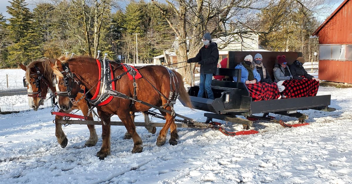 group of people on a horse drawn sleigh ride