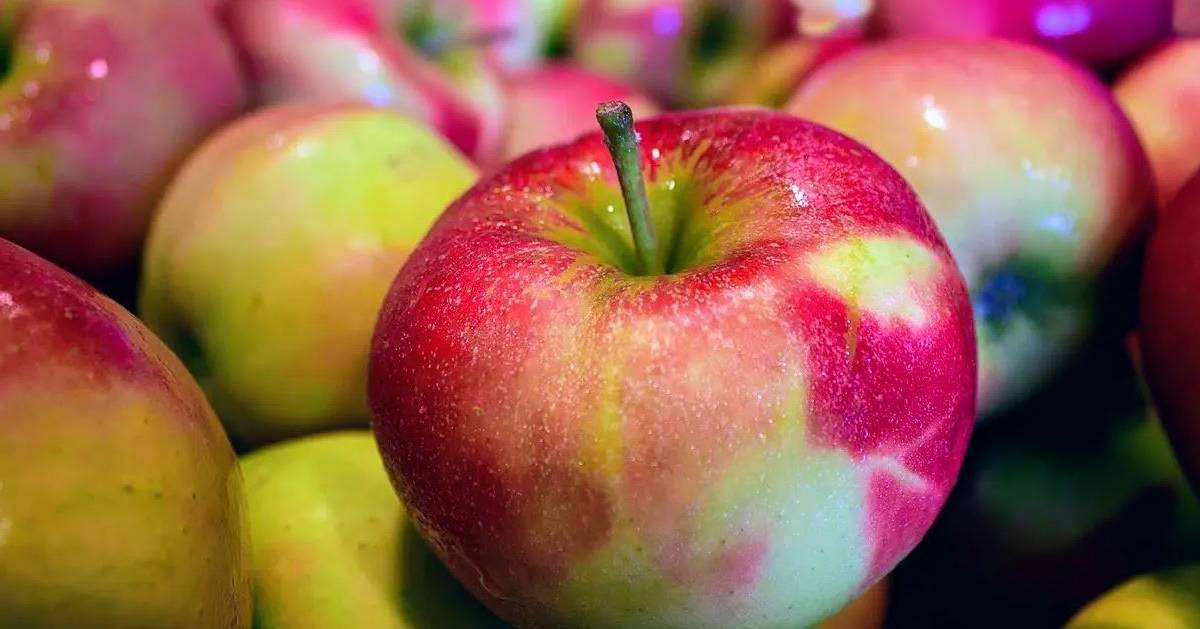  Fresh Apples Delivered to your Door