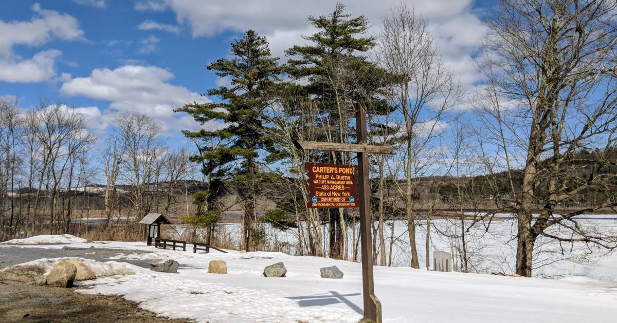 carter's pond sign in winter