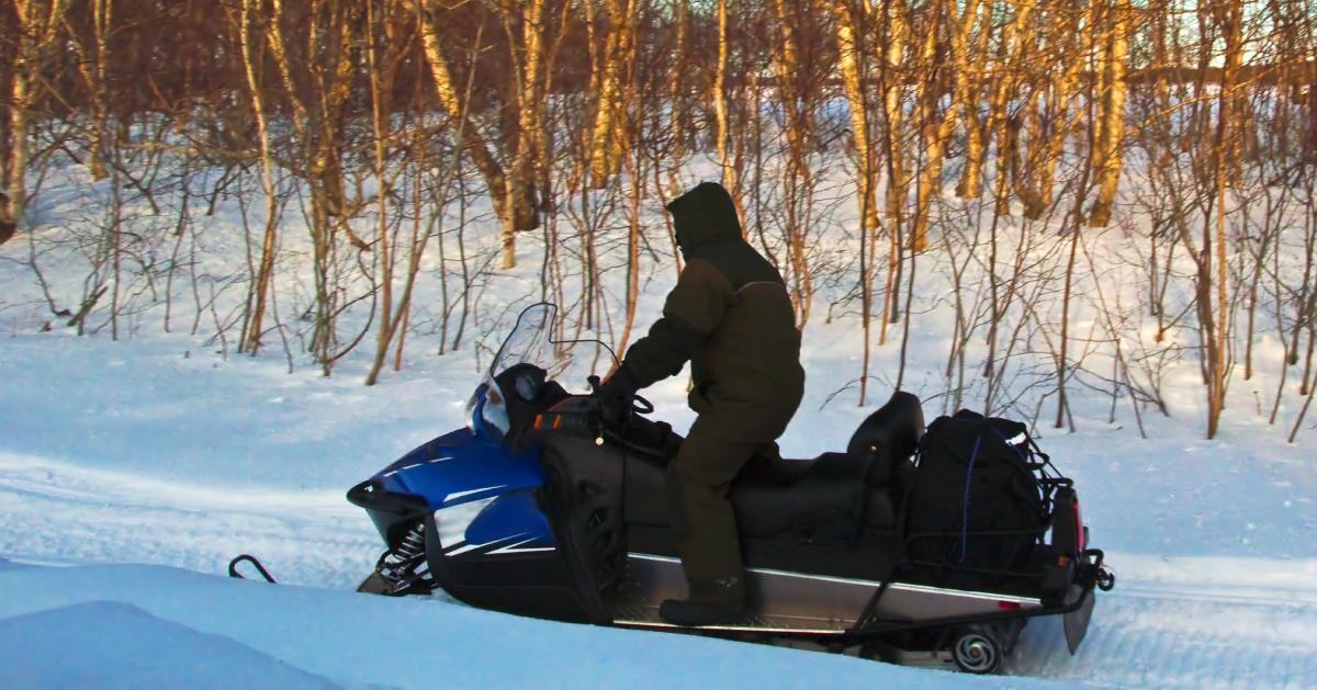 snowmobiler riding by some dead trees