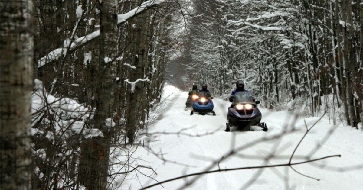 snowmobilers going down a trail