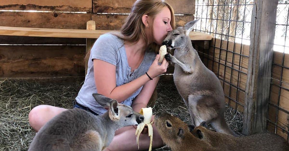 girl with kangaroos
