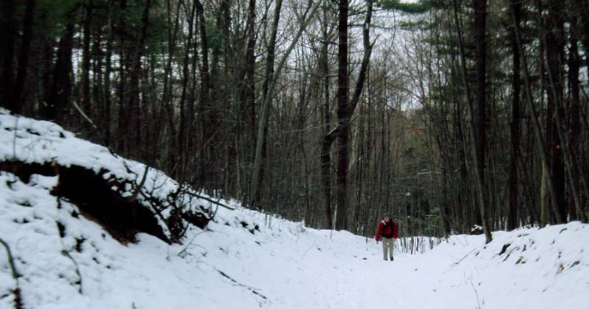 person walking on snowy trail