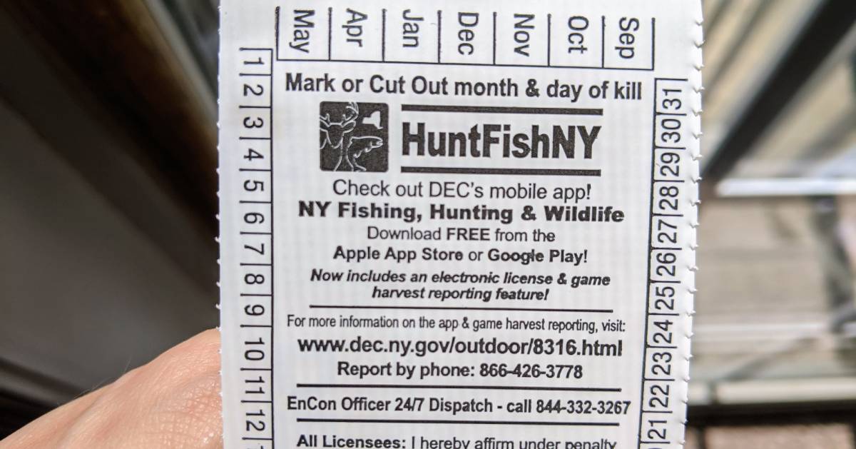 New York State Fishing License Information