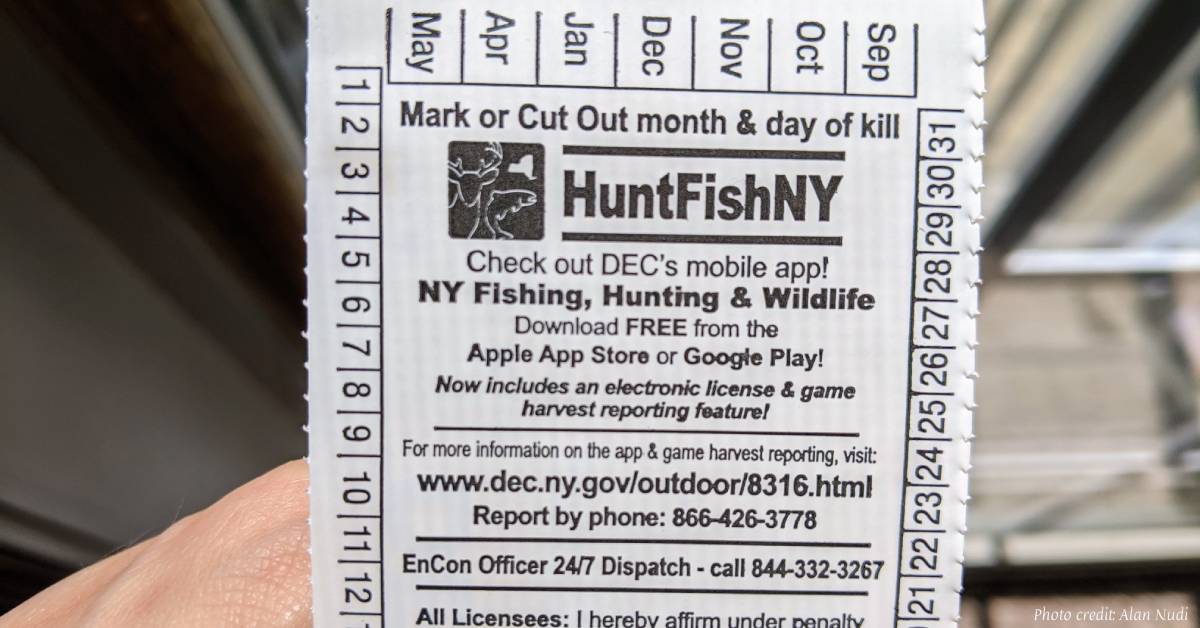 New York State Fishing License Information