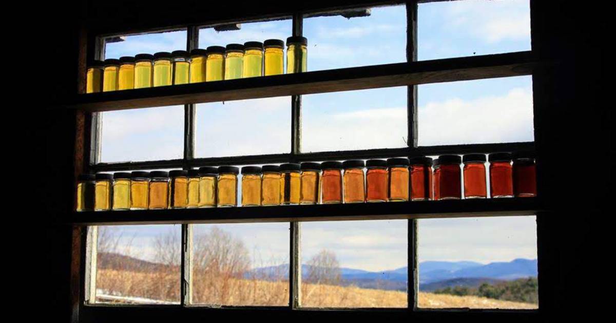 maple jars on a windowsill