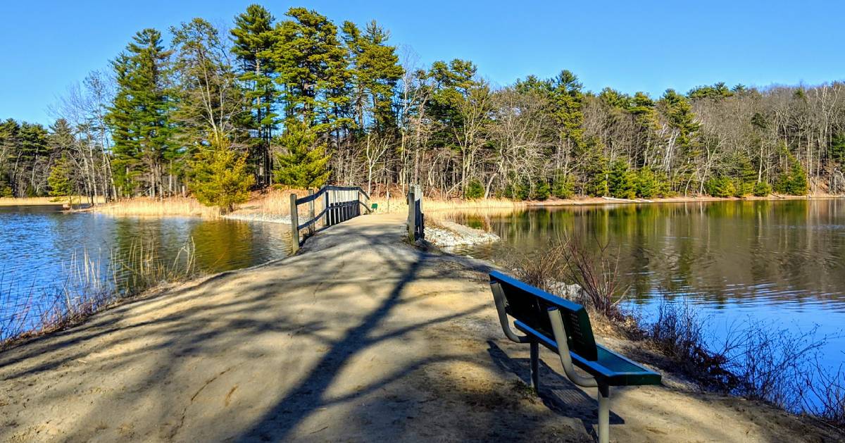 small bridge over water and bench in park