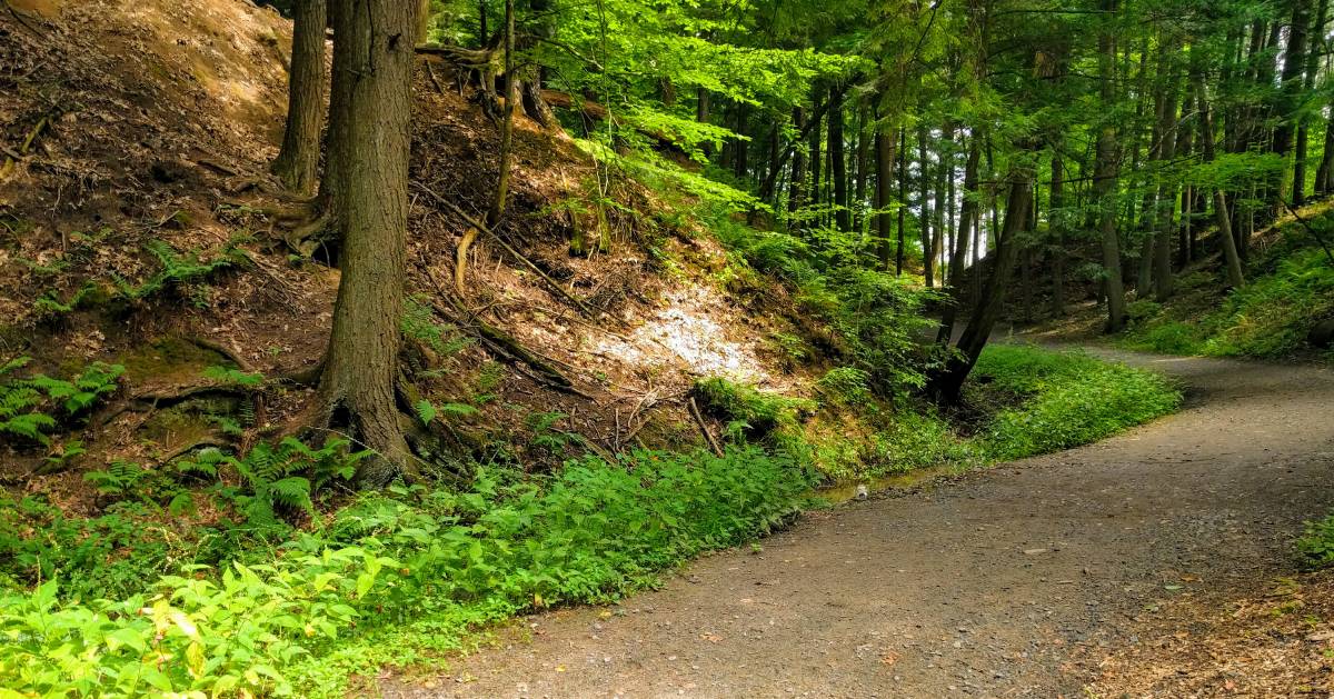 path through a park