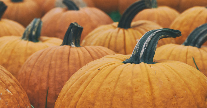 a bunch of pumpkins