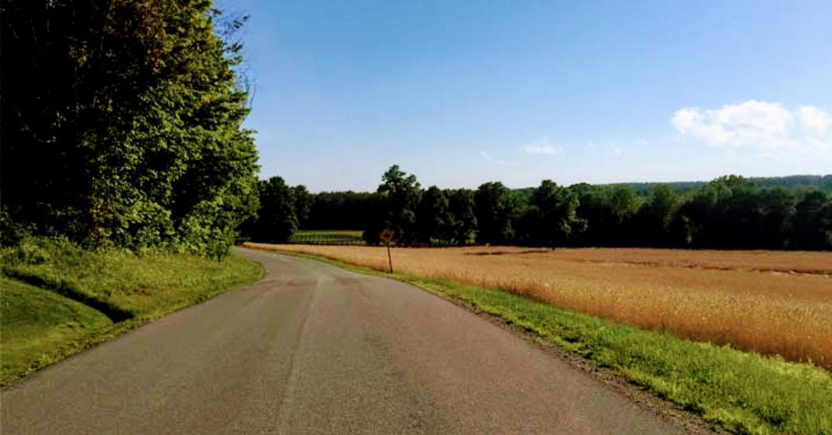 road through the countryside