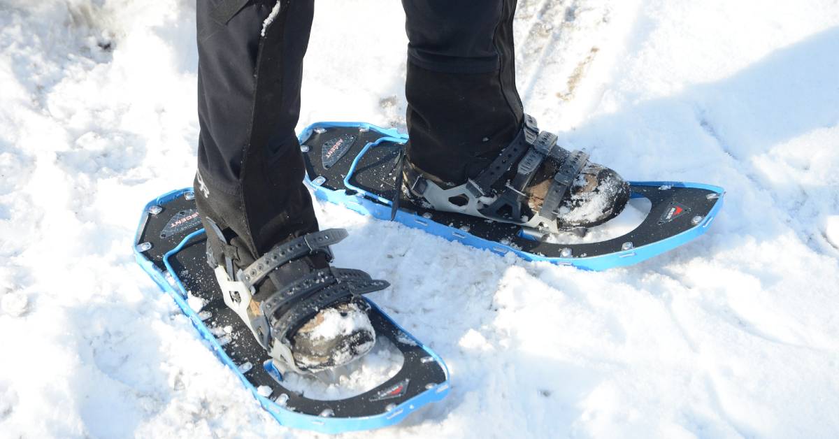 person wearing a pair of blue snowshoes