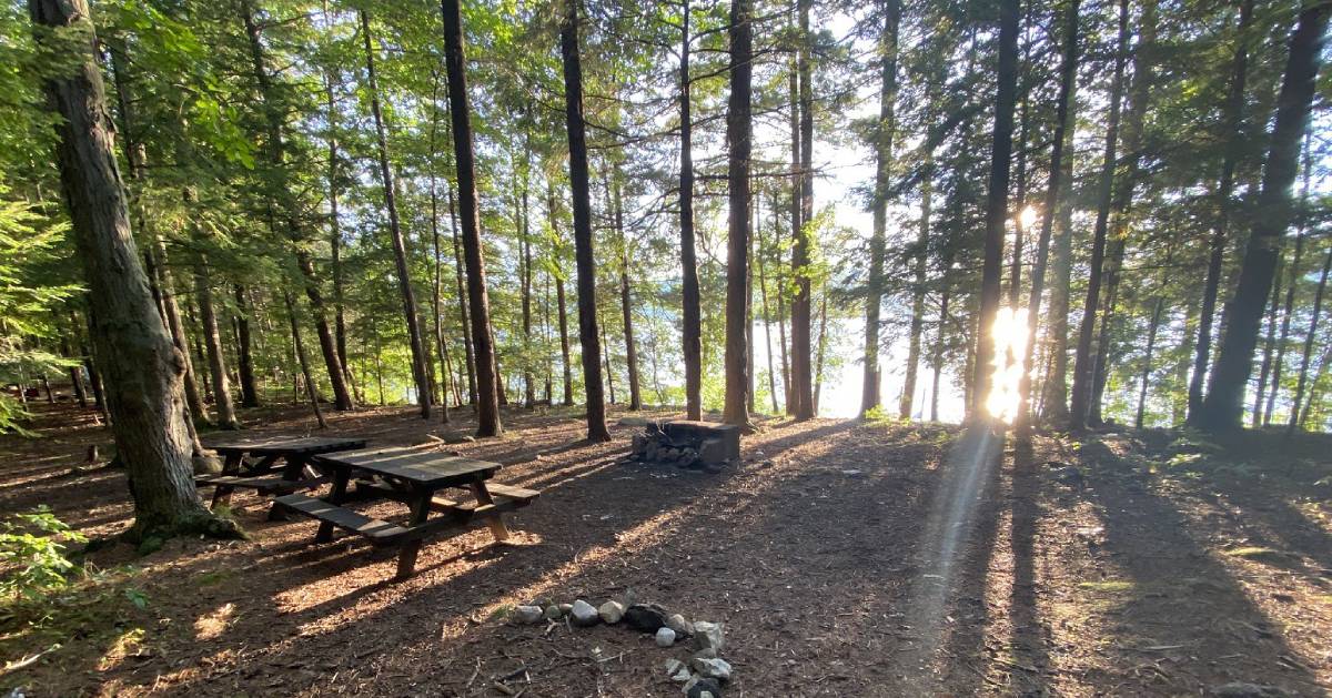 campsite with sun coming through the trees