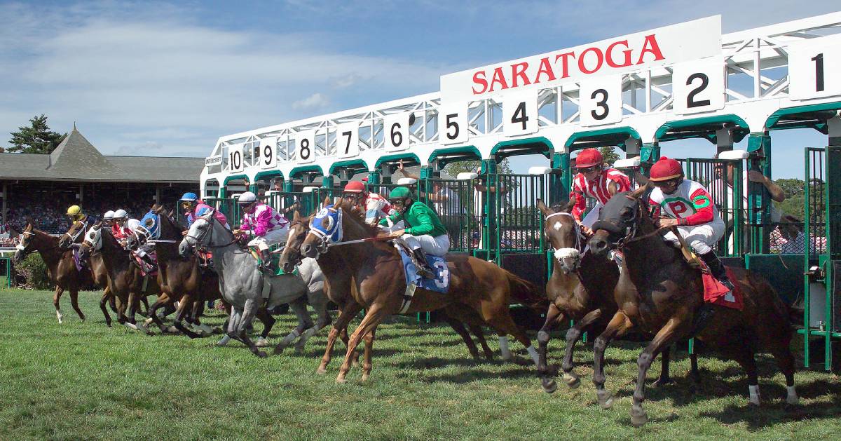 horses racing out of a gate