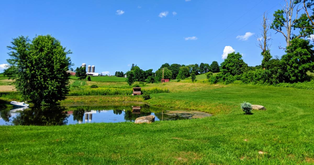 peaceful farmland with a pond